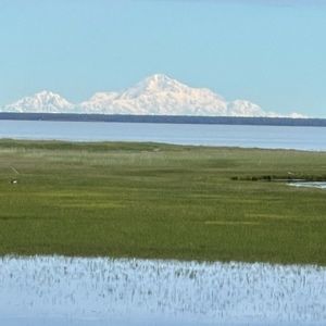 Meet your Posher, Debi